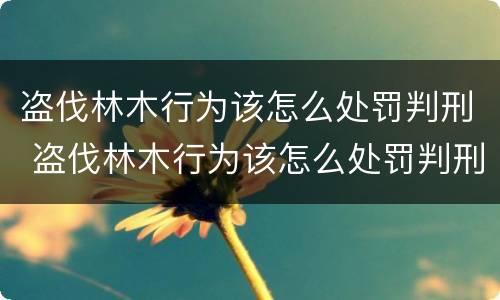 盗伐林木行为该怎么处罚判刑 盗伐林木行为该怎么处罚判刑的