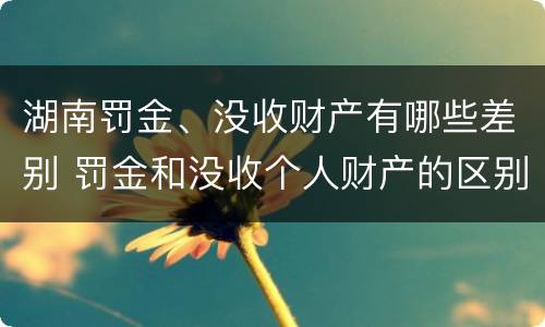 湖南罚金、没收财产有哪些差别 罚金和没收个人财产的区别