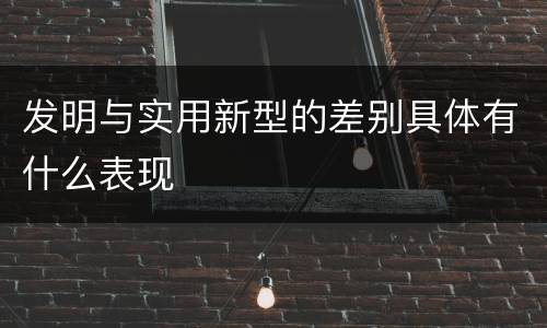 发明与实用新型的差别具体有什么表现