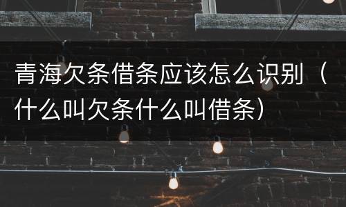 青海欠条借条应该怎么识别（什么叫欠条什么叫借条）