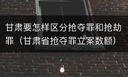 甘肃要怎样区分抢夺罪和抢劫罪（甘肃省抢夺罪立案数额）