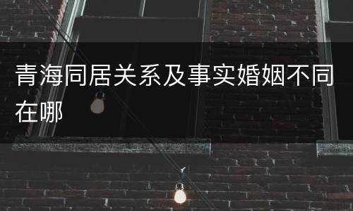 青海同居关系及事实婚姻不同在哪