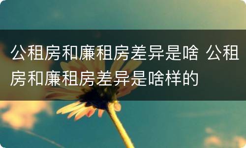 公租房和廉租房差异是啥 公租房和廉租房差异是啥样的