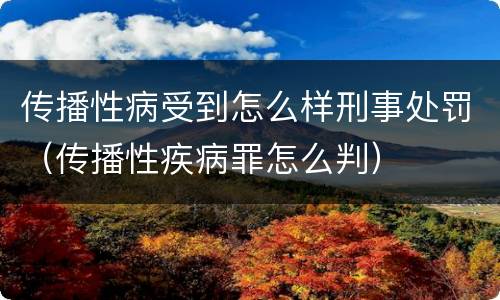传播性病受到怎么样刑事处罚（传播性疾病罪怎么判）