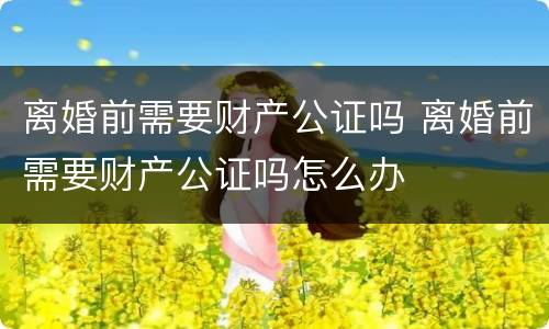离婚前需要财产公证吗 离婚前需要财产公证吗怎么办
