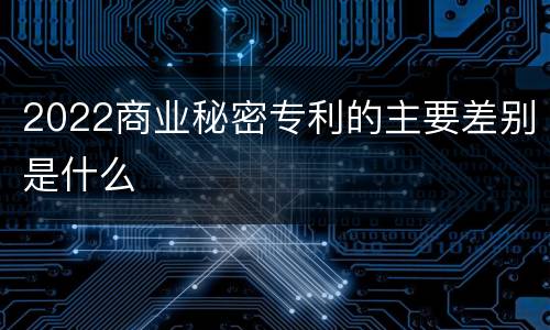 2022商业秘密专利的主要差别是什么