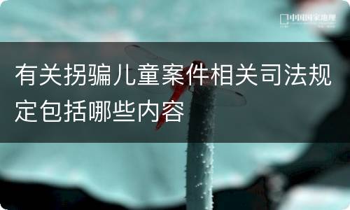 有关拐骗儿童案件相关司法规定包括哪些内容