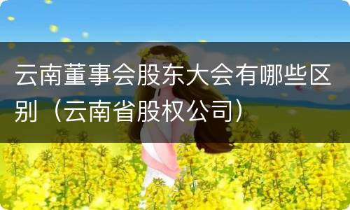 云南董事会股东大会有哪些区别（云南省股权公司）