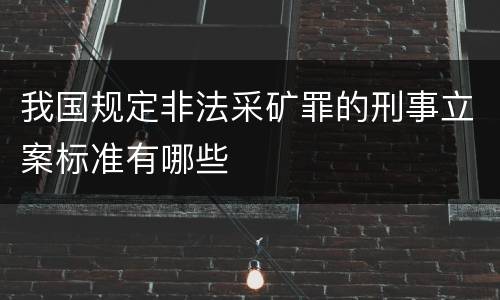 我国规定非法采矿罪的刑事立案标准有哪些
