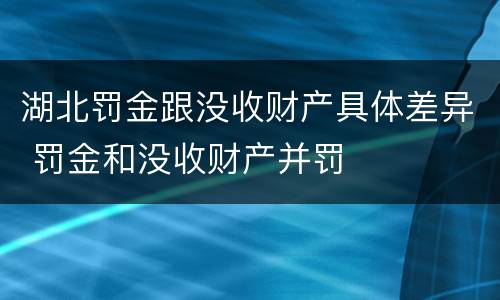 湖北罚金跟没收财产具体差异 罚金和没收财产并罚