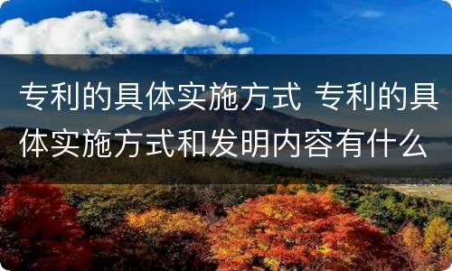 专利的具体实施方式 专利的具体实施方式和发明内容有什么区别