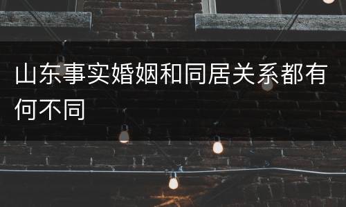山东事实婚姻和同居关系都有何不同