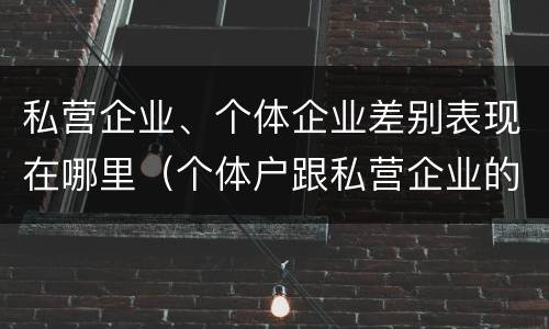 私营企业、个体企业差别表现在哪里（个体户跟私营企业的区别）
