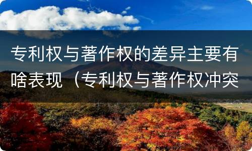 专利权与著作权的差异主要有啥表现（专利权与著作权冲突）