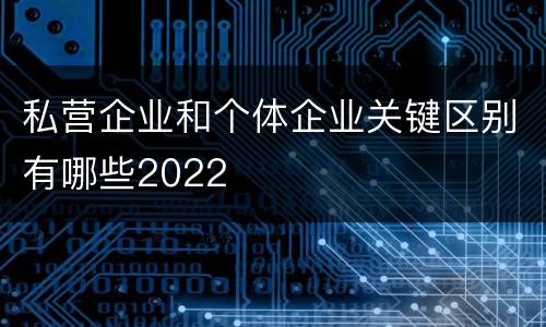 私营企业和个体企业关键区别有哪些2022