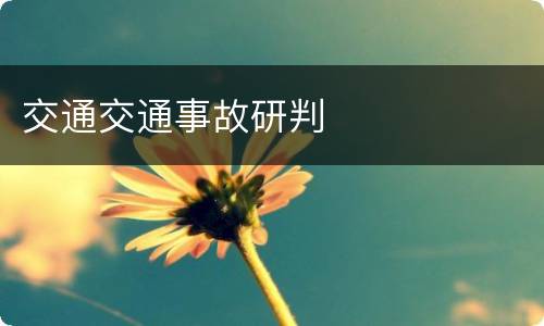 交通交通事故研判