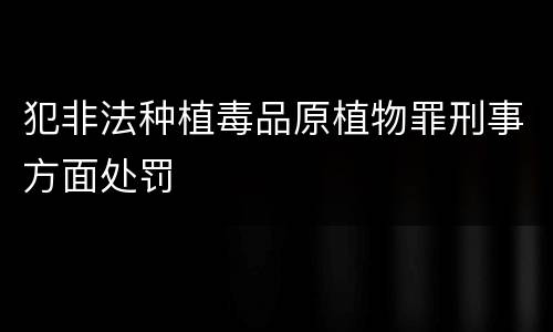 犯非法种植毒品原植物罪刑事方面处罚