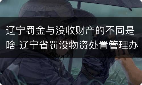 辽宁罚金与没收财产的不同是啥 辽宁省罚没物资处置管理办法