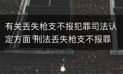 有关丢失枪支不报犯罪司法认定方面 刑法丢失枪支不报罪