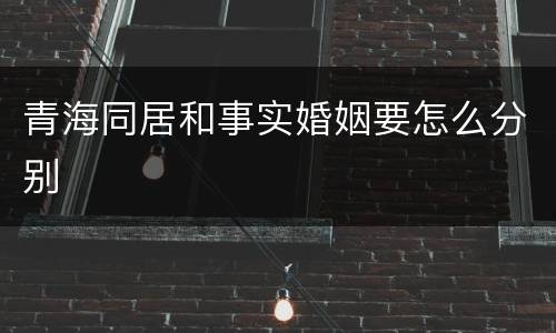 青海同居和事实婚姻要怎么分别