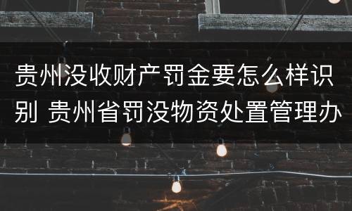 贵州没收财产罚金要怎么样识别 贵州省罚没物资处置管理办法