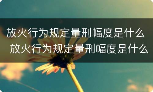 放火行为规定量刑幅度是什么 放火行为规定量刑幅度是什么意思