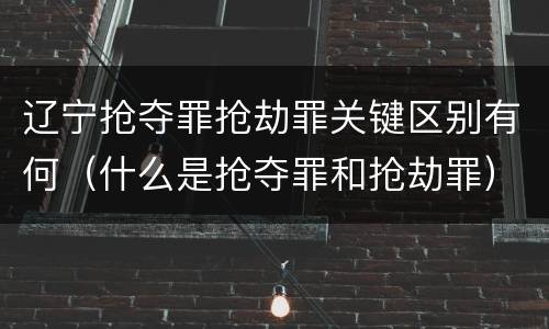 辽宁抢夺罪抢劫罪关键区别有何（什么是抢夺罪和抢劫罪）