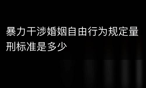 暴力干涉婚姻自由行为规定量刑标准是多少