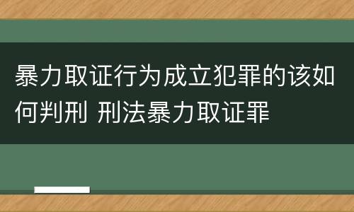暴力取证行为成立犯罪的该如何判刑 刑法暴力取证罪