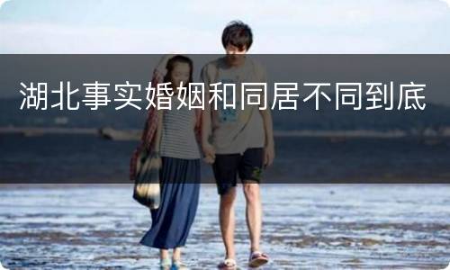 湖北事实婚姻和同居不同到底