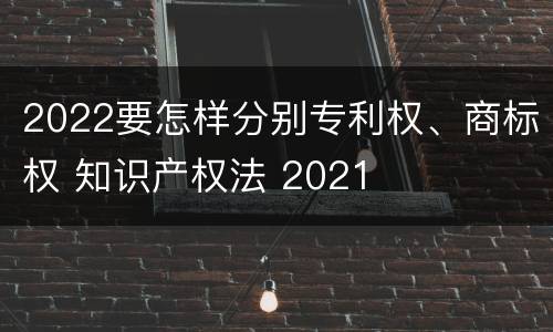 2022要怎样分别专利权、商标权 知识产权法 2021