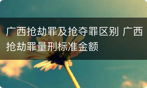 广西抢劫罪及抢夺罪区别 广西抢劫罪量刑标准金额