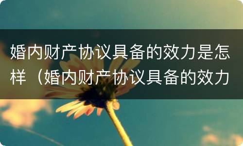 婚内财产协议具备的效力是怎样（婚内财产协议具备的效力是怎样的）