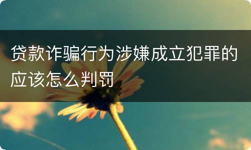 贷款诈骗行为涉嫌成立犯罪的应该怎么判罚