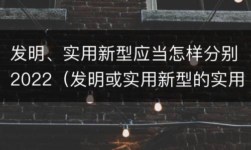 发明、实用新型应当怎样分别2022（发明或实用新型的实用性）