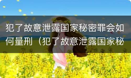 犯了故意泄露国家秘密罪会如何量刑（犯了故意泄露国家秘密罪会如何量刑呢）