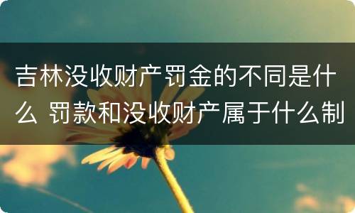 吉林没收财产罚金的不同是什么 罚款和没收财产属于什么制裁