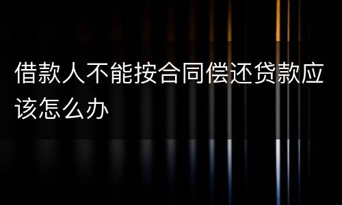 借款人不能按合同偿还贷款应该怎么办