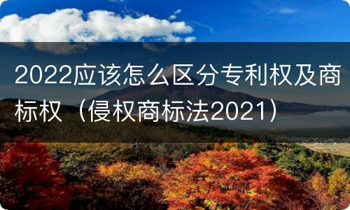 2022应该怎么区分专利权及商标权（侵权商标法2021）