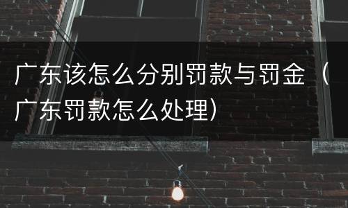 广东该怎么分别罚款与罚金（广东罚款怎么处理）