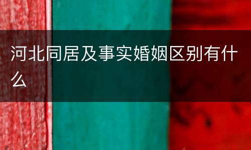 河北同居及事实婚姻区别有什么