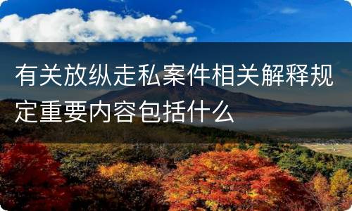 有关放纵走私案件相关解释规定重要内容包括什么