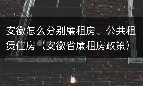 安徽怎么分别廉租房、公共租赁住房（安徽省廉租房政策）
