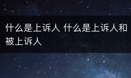 什么是上诉人 什么是上诉人和被上诉人