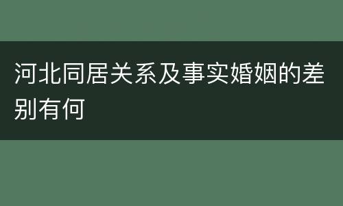 河北同居关系及事实婚姻的差别有何