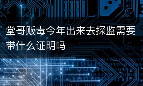 堂哥贩毒今年出来去探监需要带什么证明吗