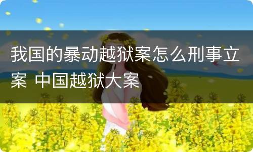 我国的暴动越狱案怎么刑事立案 中国越狱大案