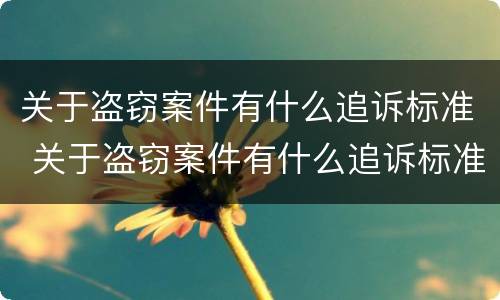 关于盗窃案件有什么追诉标准 关于盗窃案件有什么追诉标准规定