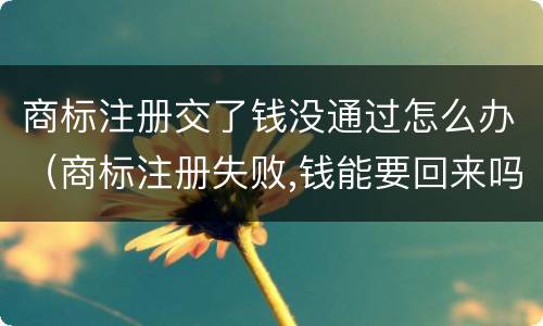 商标注册交了钱没通过怎么办（商标注册失败,钱能要回来吗）
