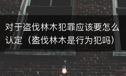 对于盗伐林木犯罪应该要怎么认定（盗伐林木是行为犯吗）